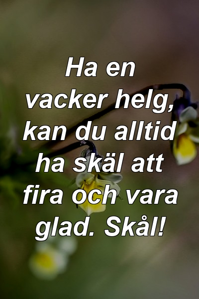 Ha en vacker helg, kan du alltid ha skäl att fira och vara glad. Skål!