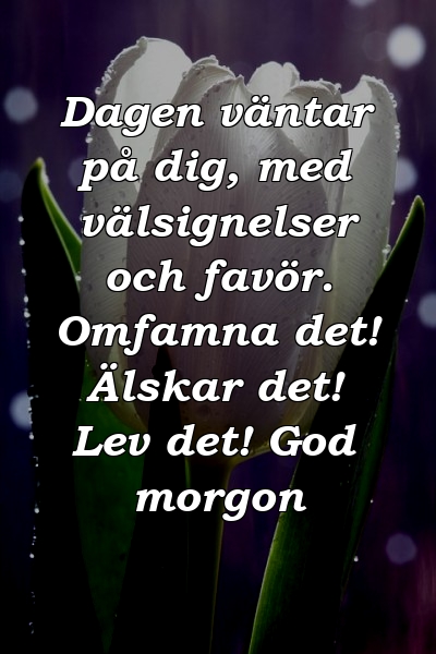 Dagen väntar på dig, med välsignelser och favör. Omfamna det! Älskar det! Lev det! God morgon