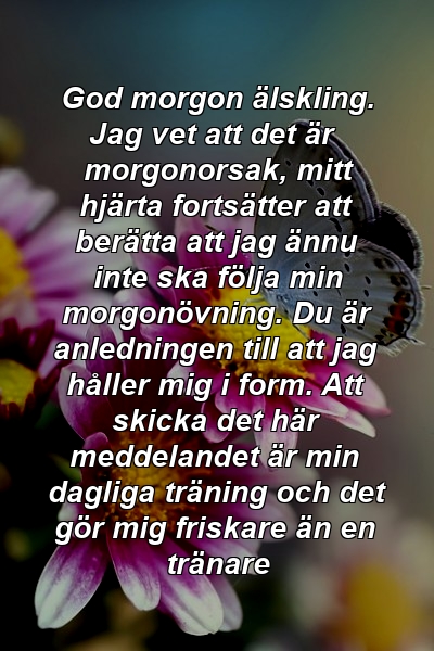 God morgon älskling. Jag vet att det är morgonorsak, mitt hjärta fortsätter att berätta att jag ännu inte ska följa min morgonövning. Du är anledningen till att jag håller mig i form. Att skicka det här meddelandet är min dagliga träning och det gör mig friskare än en tränare