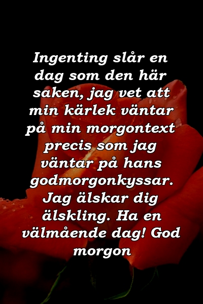 Ingenting slår en dag som den här saken, jag vet att min kärlek väntar på min morgontext precis som jag väntar på hans godmorgonkyssar. Jag älskar dig älskling. Ha en välmående dag! God morgon