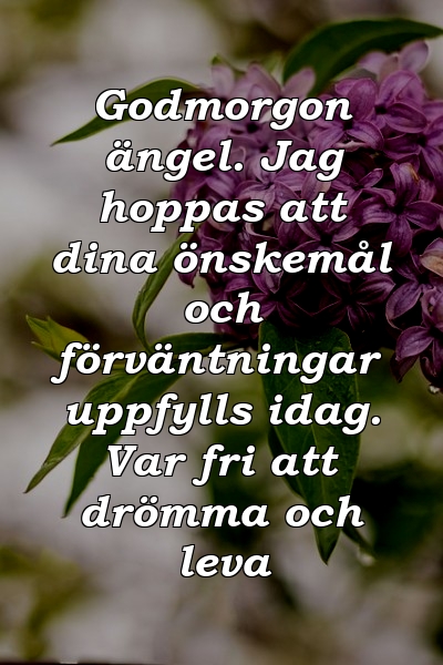 Godmorgon ängel. Jag hoppas att dina önskemål och förväntningar uppfylls idag. Var fri att drömma och leva