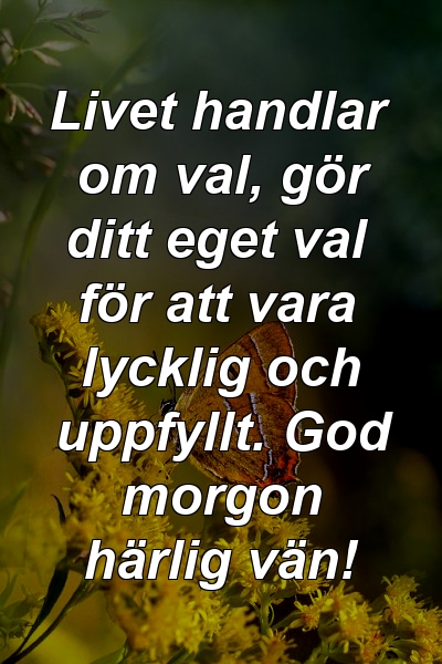 Livet handlar om val, gör ditt eget val för att vara lycklig och uppfyllt. God morgon härlig vän!