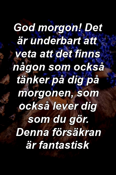 God morgon! Det är underbart att veta att det finns någon som också tänker på dig på morgonen, som också lever dig som du gör. Denna försäkran är fantastisk