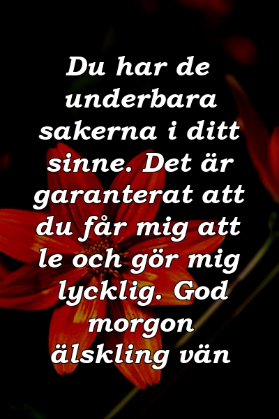 Du har de underbara sakerna i ditt sinne. Det är garanterat att du får mig att le och gör mig lycklig. God morgon älskling vän