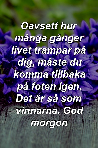 Oavsett hur många gånger livet trampar på dig, måste du komma tillbaka på foten igen. Det är så som vinnarna. God morgon