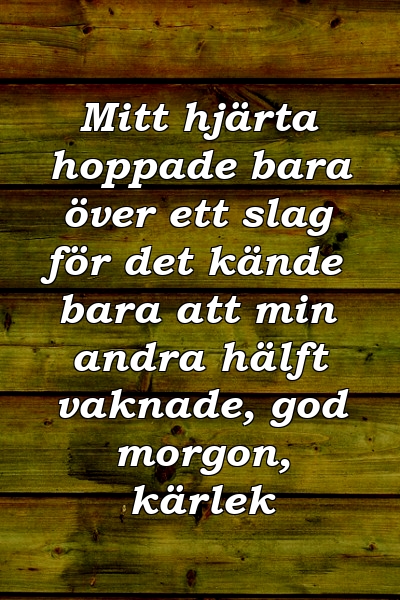 Mitt hjärta hoppade bara över ett slag för det kände bara att min andra hälft vaknade, god morgon, kärlek