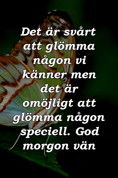 Det är svårt att glömma någon vi känner men det är omöjligt att glömma någon speciell. God morgon vän