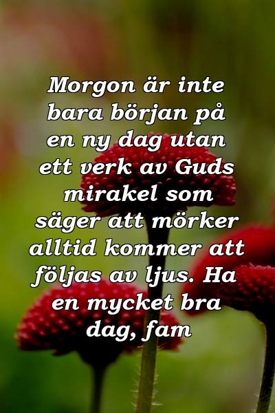 Morgon är inte bara början på en ny dag utan ett verk av Guds mirakel som säger att mörker alltid kommer att följas av ljus. Ha en mycket bra dag, fam