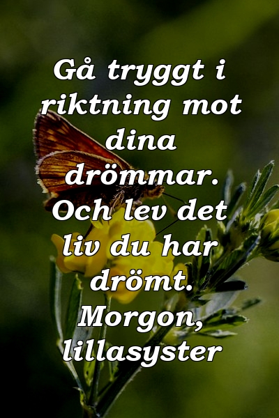 Gå tryggt i riktning mot dina drömmar. Och lev det liv du har drömt. Morgon, lillasyster