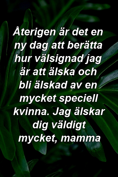 Återigen är det en ny dag att berätta hur välsignad jag är att älska och bli älskad av en mycket speciell kvinna. Jag älskar dig väldigt mycket, mamma