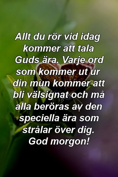 Allt du rör vid idag kommer att tala Guds ära. Varje ord som kommer ut ur din mun kommer att bli välsignat och må alla beröras av den speciella ära som strålar över dig. God morgon!