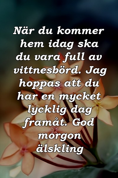 När du kommer hem idag ska du vara full av vittnesbörd. Jag hoppas att du har en mycket lycklig dag framåt. God morgon älskling