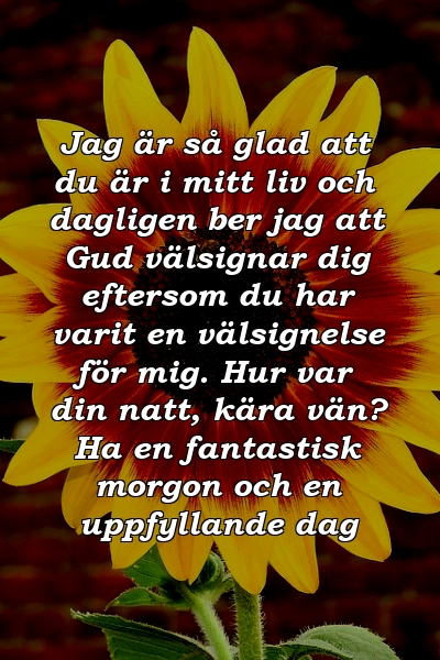 Jag är så glad att du är i mitt liv och dagligen ber jag att Gud välsignar dig eftersom du har varit en välsignelse för mig. Hur var din natt, kära vän? Ha en fantastisk morgon och en uppfyllande dag