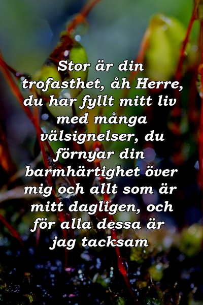 Stor är din trofasthet, åh Herre, du har fyllt mitt liv med många välsignelser, du förnyar din barmhärtighet över mig och allt som är mitt dagligen, och för alla dessa är jag tacksam