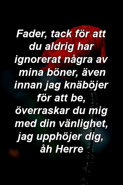 Fader, tack för att du aldrig har ignorerat några av mina böner, även innan jag knäböjer för att be, överraskar du mig med din vänlighet, jag upphöjer dig, åh Herre