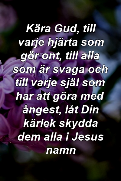 Kära Gud, till varje hjärta som gör ont, till alla som är svaga och till varje själ som har att göra med ångest, låt Din kärlek skydda dem alla i Jesus namn