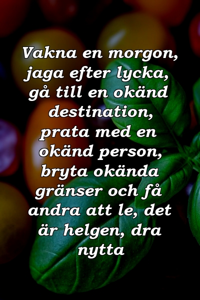 Vakna en morgon, jaga efter lycka, gå till en okänd destination, prata med en okänd person, bryta okända gränser och få andra att le, det är helgen, dra nytta