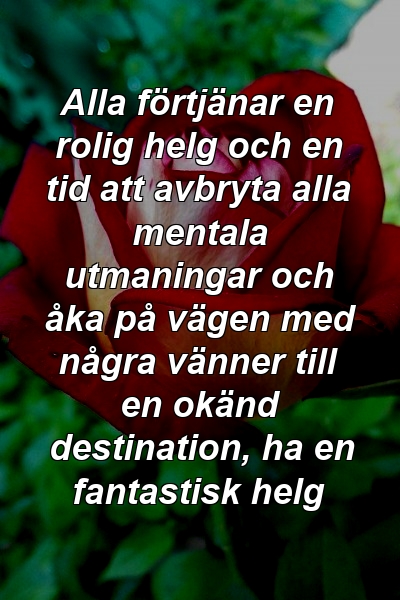 Alla förtjänar en rolig helg och en tid att avbryta alla mentala utmaningar och åka på vägen med några vänner till en okänd destination, ha en fantastisk helg