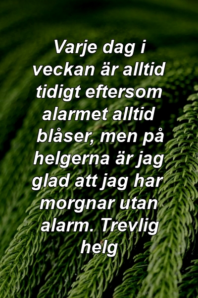 Varje dag i veckan är alltid tidigt eftersom alarmet alltid blåser, men på helgerna är jag glad att jag har morgnar utan alarm. Trevlig helg