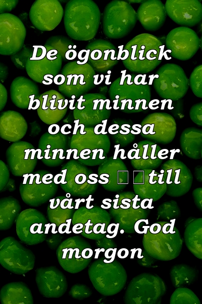 De ögonblick som vi har blivit minnen och dessa minnen håller med oss ​​till vårt sista andetag. God morgon