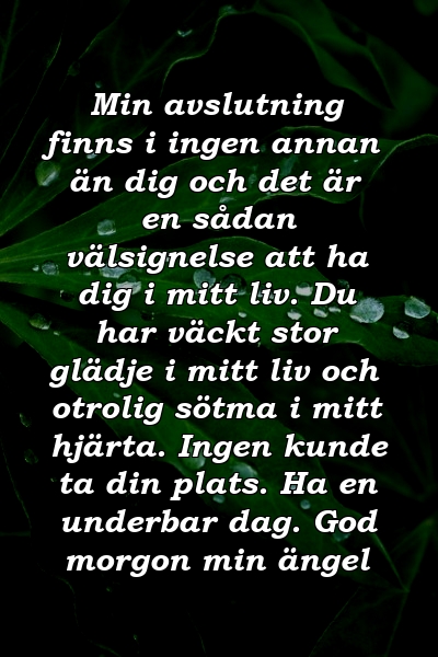 Min avslutning finns i ingen annan än dig och det är en sådan välsignelse att ha dig i mitt liv. Du har väckt stor glädje i mitt liv och otrolig sötma i mitt hjärta. Ingen kunde ta din plats. Ha en underbar dag. God morgon min ängel