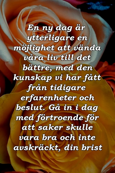 En ny dag är ytterligare en möjlighet att vända våra liv till det bättre, med den kunskap vi har fått från tidigare erfarenheter och beslut. Gå in i dag med förtroende för att saker skulle vara bra och inte avskräckt, din brist