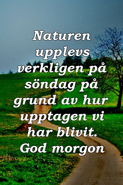 Naturen upplevs verkligen på söndag på grund av hur upptagen vi har blivit. God morgon