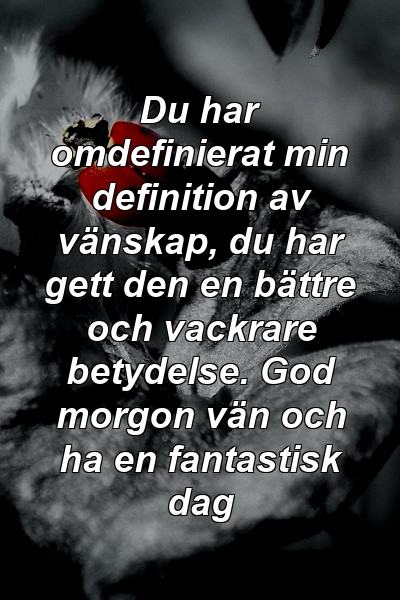 Du har omdefinierat min definition av vänskap, du har gett den en bättre och vackrare betydelse. God morgon vän och ha en fantastisk dag