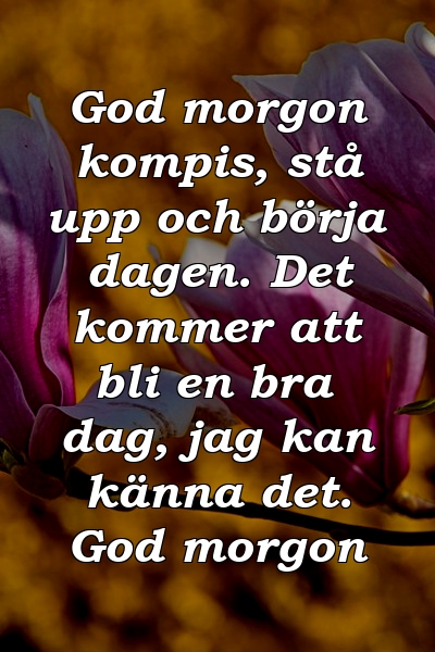 God morgon kompis, stå upp och börja dagen. Det kommer att bli en bra dag, jag kan känna det. God morgon