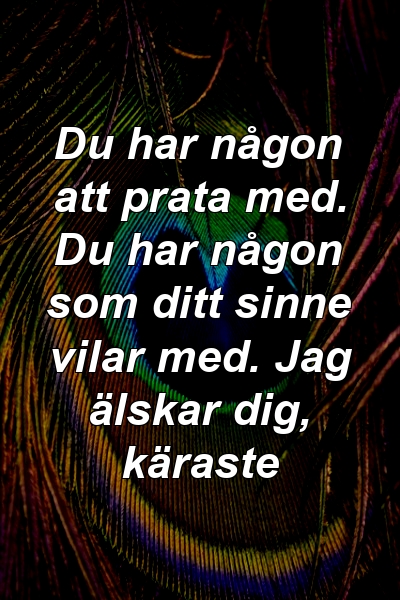 Du har någon att prata med. Du har någon som ditt sinne vilar med. Jag älskar dig, käraste