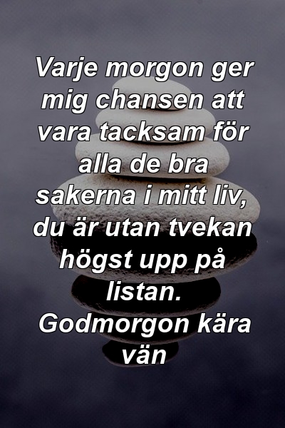 Varje morgon ger mig chansen att vara tacksam för alla de bra sakerna i mitt liv, du är utan tvekan högst upp på listan. Godmorgon kära vän