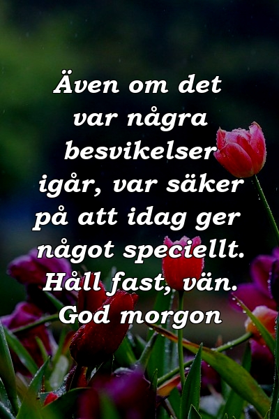 Även om det var några besvikelser igår, var säker på att idag ger något speciellt. Håll fast, vän. God morgon