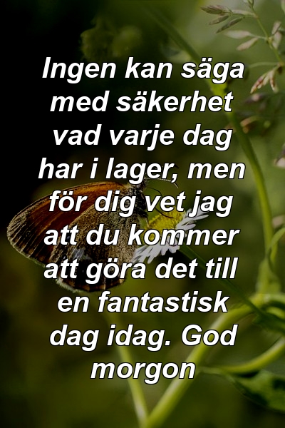 Ingen kan säga med säkerhet vad varje dag har i lager, men för dig vet jag att du kommer att göra det till en fantastisk dag idag. God morgon