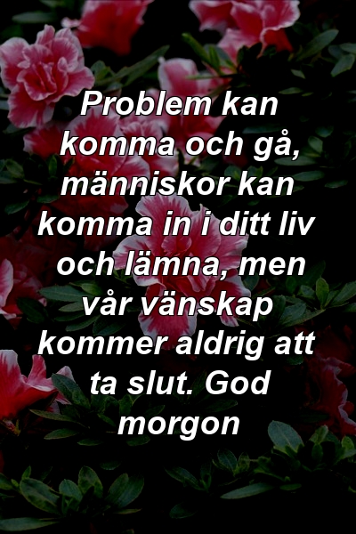 Problem kan komma och gå, människor kan komma in i ditt liv och lämna, men vår vänskap kommer aldrig att ta slut. God morgon