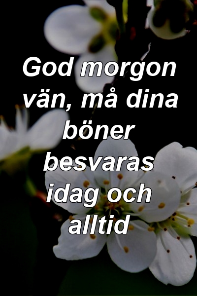 God morgon vän, må dina böner besvaras idag och alltid