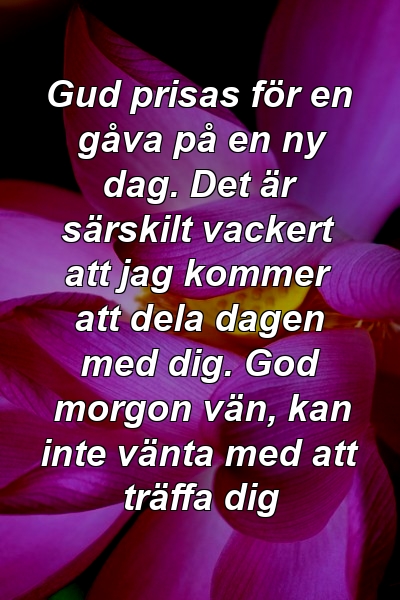 Gud prisas för en gåva på en ny dag. Det är särskilt vackert att jag kommer att dela dagen med dig. God morgon vän, kan inte vänta med att träffa dig