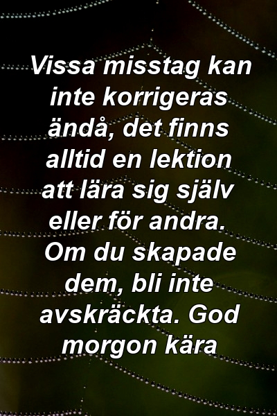 Vissa misstag kan inte korrigeras ändå, det finns alltid en lektion att lära sig själv eller för andra. Om du skapade dem, bli inte avskräckta. God morgon kära