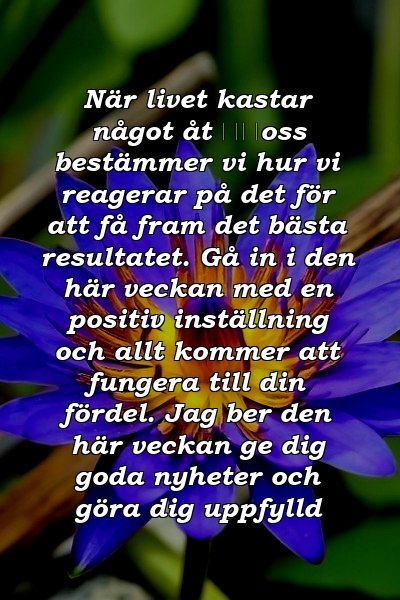 När livet kastar något åt ​​oss bestämmer vi hur vi reagerar på det för att få fram det bästa resultatet. Gå in i den här veckan med en positiv inställning och allt kommer att fungera till din fördel. Jag ber den här veckan ge dig goda nyheter och göra dig uppfylld