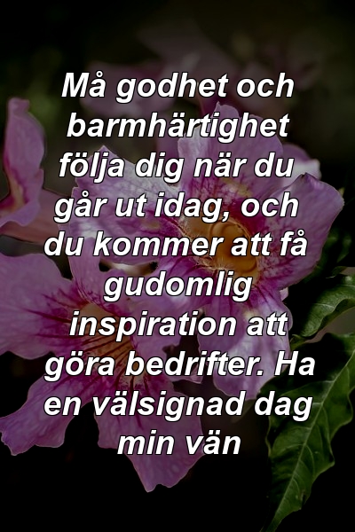 Må godhet och barmhärtighet följa dig när du går ut idag, och du kommer att få gudomlig inspiration att göra bedrifter. Ha en välsignad dag min vän