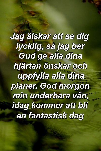 Jag älskar att se dig lycklig, så jag ber Gud ge alla dina hjärtan önskar och uppfylla alla dina planer. God morgon min underbara vän, idag kommer att bli en fantastisk dag