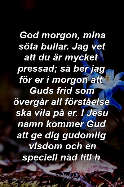 God morgon, mina söta bullar. Jag vet att du är mycket pressad; så ber jag för er i morgon att Guds frid som övergår all förståelse ska vila på er. I Jesu namn kommer Gud att ge dig gudomlig visdom och en speciell nåd till h