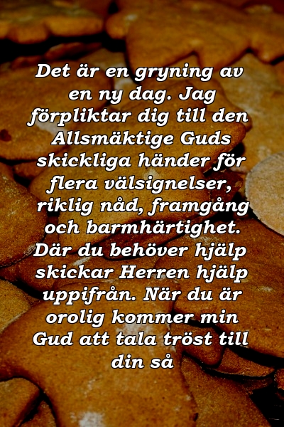 Det är en gryning av en ny dag. Jag förpliktar dig till den Allsmäktige Guds skickliga händer för flera välsignelser, riklig nåd, framgång och barmhärtighet. Där du behöver hjälp skickar Herren hjälp uppifrån. När du är orolig kommer min Gud att tala tröst till din så