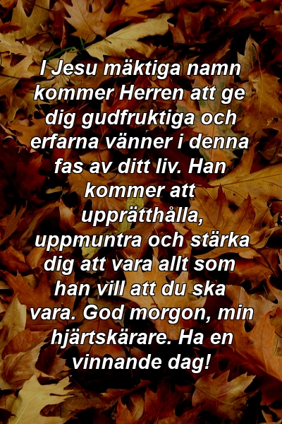 I Jesu mäktiga namn kommer Herren att ge dig gudfruktiga och erfarna vänner i denna fas av ditt liv. Han kommer att upprätthålla, uppmuntra och stärka dig att vara allt som han vill att du ska vara. God morgon, min hjärtskärare. Ha en vinnande dag!