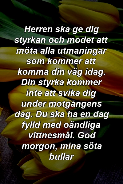 Herren ska ge dig styrkan och modet att möta alla utmaningar som kommer att komma din väg idag. Din styrka kommer inte att svika dig under motgångens dag. Du ska ha en dag fylld med oändliga vittnesmål. God morgon, mina söta bullar