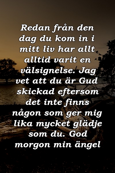 Redan från den dag du kom in i mitt liv har allt alltid varit en välsignelse. Jag vet att du är Gud skickad eftersom det inte finns någon som ger mig lika mycket glädje som du. God morgon min ängel