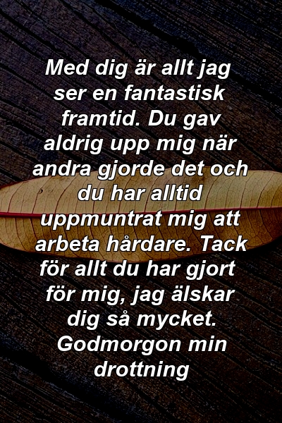 Med dig är allt jag ser en fantastisk framtid. Du gav aldrig upp mig när andra gjorde det och du har alltid uppmuntrat mig att arbeta hårdare. Tack för allt du har gjort för mig, jag älskar dig så mycket. Godmorgon min drottning