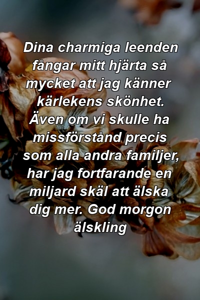 Dina charmiga leenden fångar mitt hjärta så mycket att jag känner kärlekens skönhet. Även om vi skulle ha missförstånd precis som alla andra familjer, har jag fortfarande en miljard skäl att älska dig mer. God morgon älskling