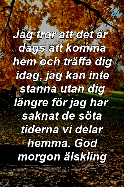 Jag tror att det är dags att komma hem och träffa dig idag, jag kan inte stanna utan dig längre för jag har saknat de söta tiderna vi delar hemma. God morgon älskling