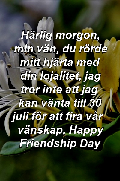 Härlig morgon, min vän, du rörde mitt hjärta med din lojalitet, jag tror inte att jag kan vänta till 30 juli för att fira vår vänskap, Happy Friendship Day