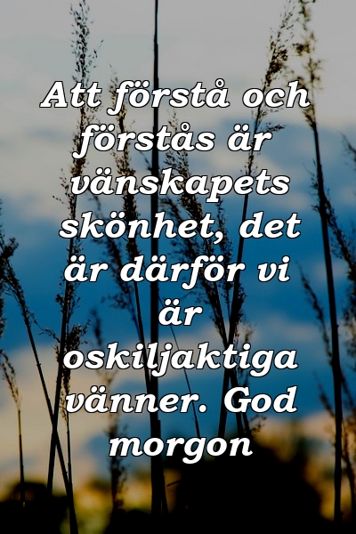 Att förstå och förstås är vänskapets skönhet, det är därför vi är oskiljaktiga vänner. God morgon